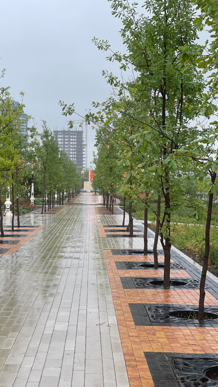 Приствольная решетка для дерева ZKING CRUST 1.2х1.2м Черная в Саяногорске фото