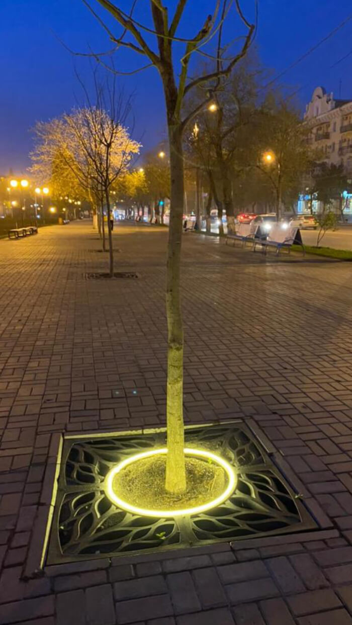 Приствольная решетка для дерева ZKING CRUST 1.2х1.2м Черная в Саяногорске фото